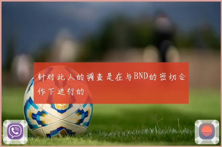 针对此人的调查是在与BND的密切合作下进行的
