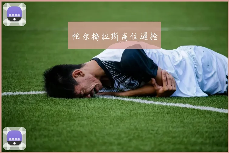 帕尔梅拉斯高位逼抢
