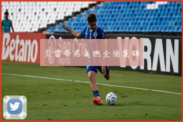 贝雷蒂尼高燃全场集锦
