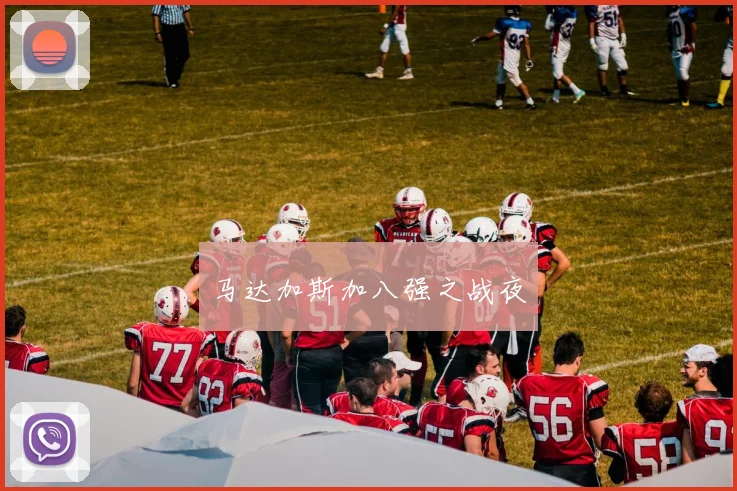马达加斯加八强之战夜