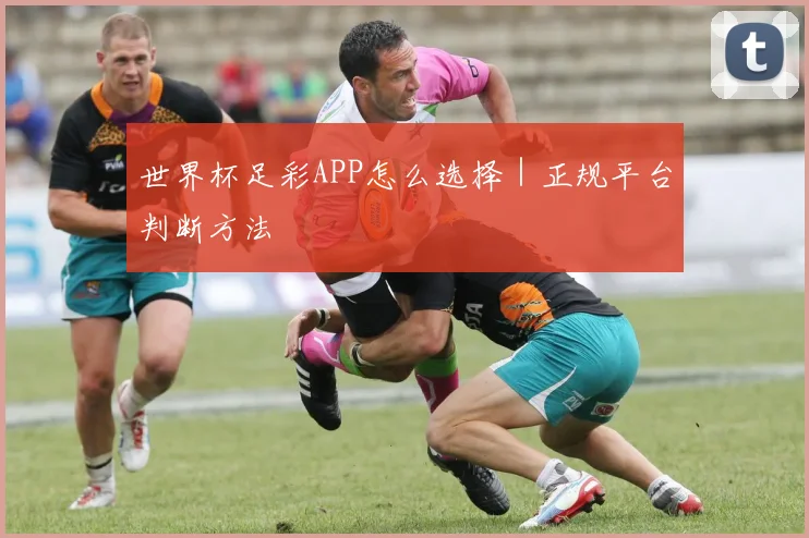 世界杯足彩APP怎么选择|正规平台判断方法