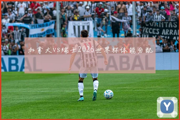 加拿大vs瑞士2026世界杯体能分配
