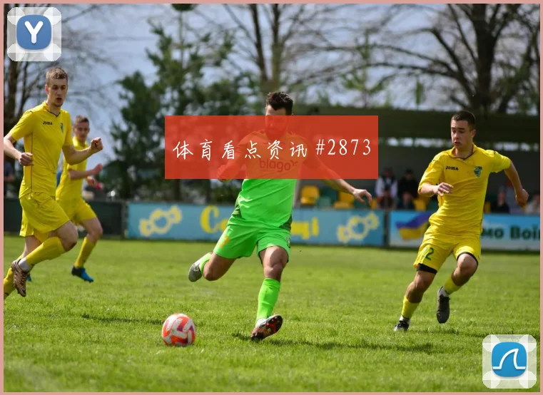 阿瑙托维奇奥地利小组赛助攻看点