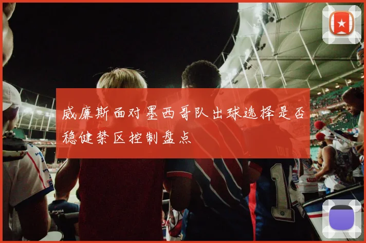 威廉斯面对墨西哥队出球选择是否稳健禁区控制盘点