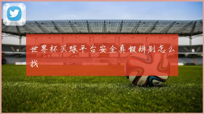世界杯买球平台安全真假辨别怎么找