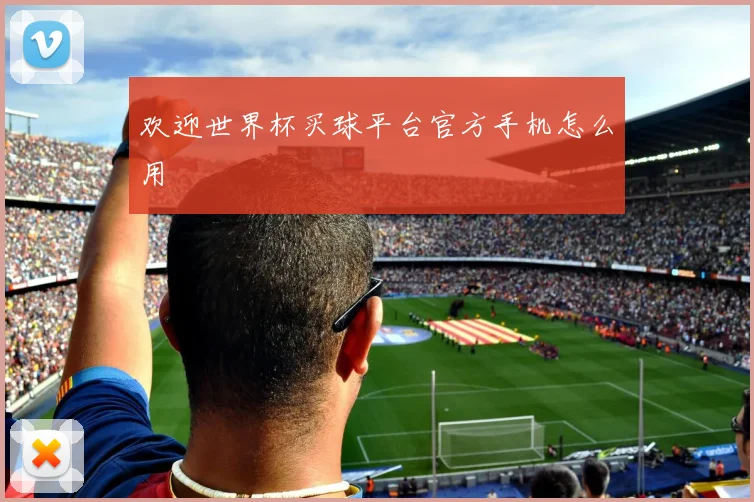 欢迎世界杯买球平台官方手机怎么用